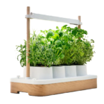 AUK_HypeTalk_MiniBundle-150x150 Click&Grow Smart Garden %Category