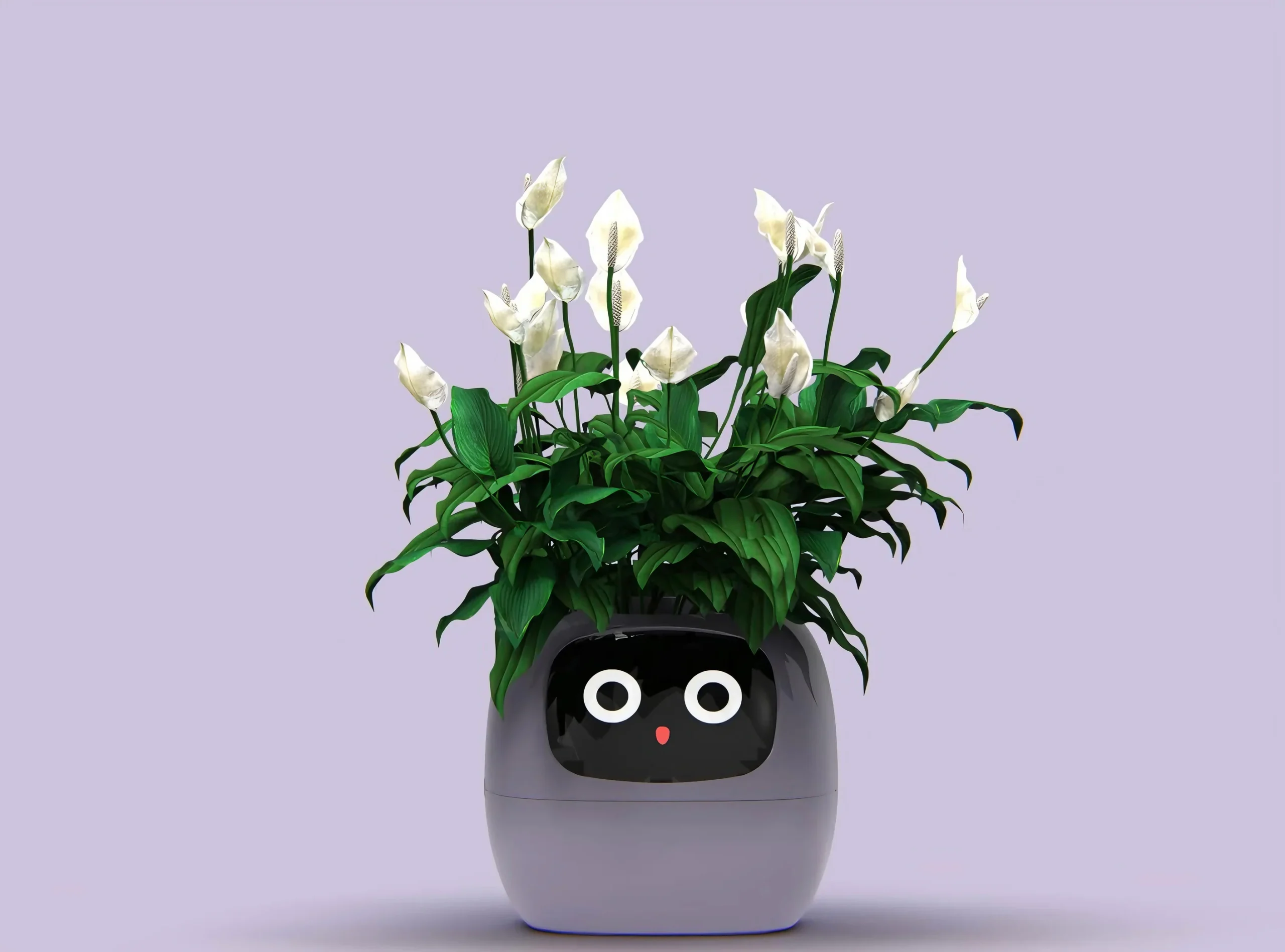 Ivy Smart Pet Planter