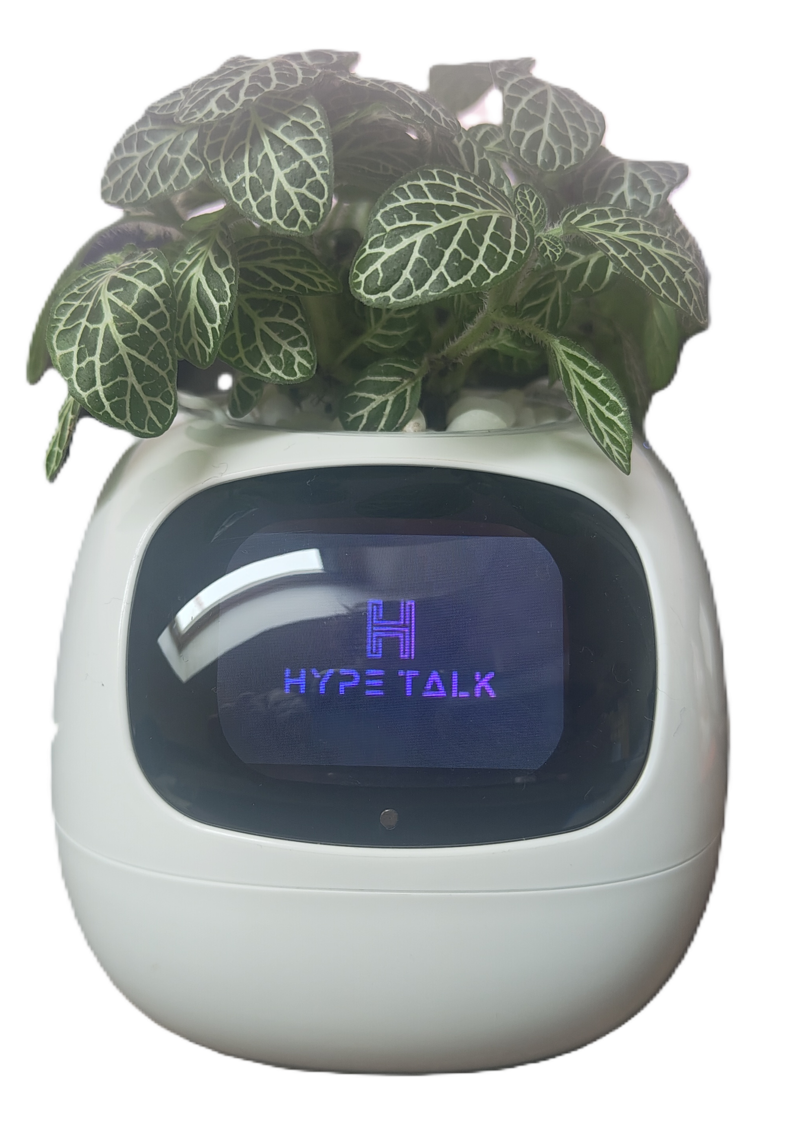 Ivy_Custom_HypeTalk Ivy Smart Pet Planter %Category