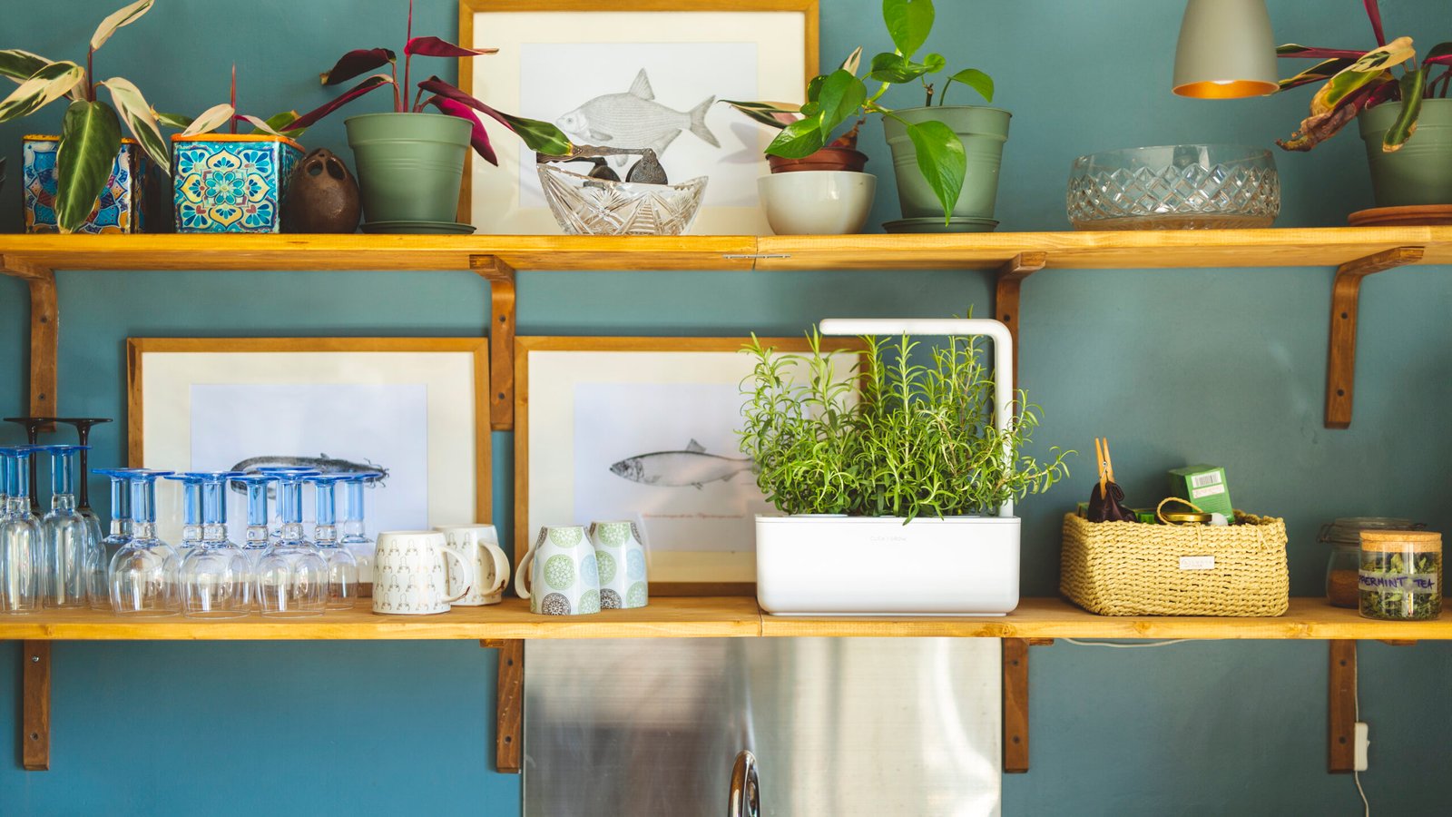 SG3-Rosemary-kitchen-counter-scaled Click&Grow Smart Garden %Category
