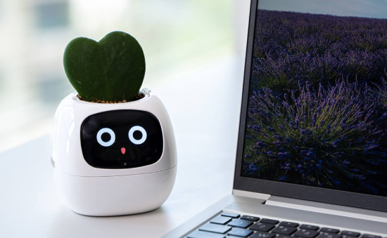 Screenshot-2025-01-31-122607 Ivy Smart Pet Planter %Category