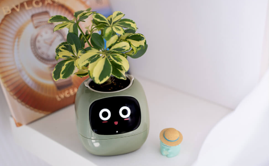 Screenshot-2025-01-31-122618 Ivy Smart Pet Planter %Category