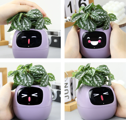 Screenshot-2025-01-31-122812 Ivy Smart Pet Planter %Category