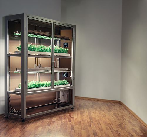 click_grow_header-500x464 Reviews %Category