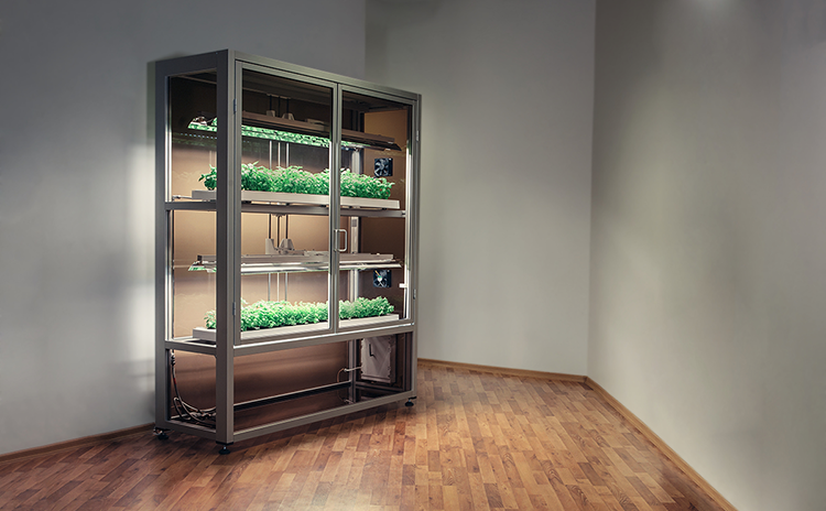 Click&Grow Smart Garden