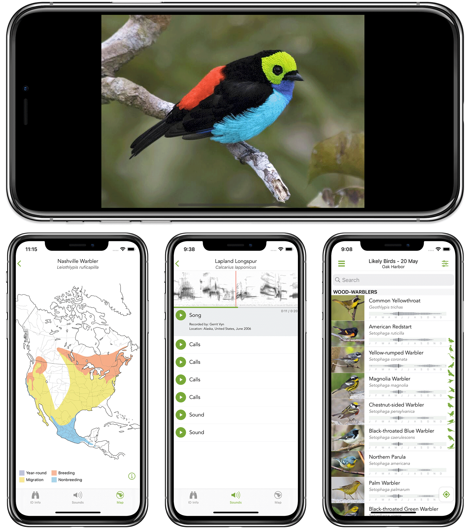 merlin-bird-ID_HypeTalk Swarovski - AX Visio binocular %Category