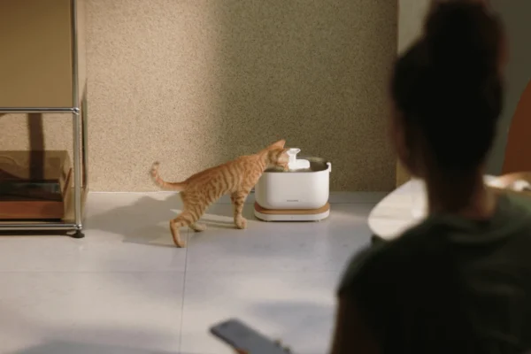 Petlibro_Fountain_HypeTalk_3-600x400 Petlibro - Granary Smart Camera Feeder & Fountain Bundle %Category