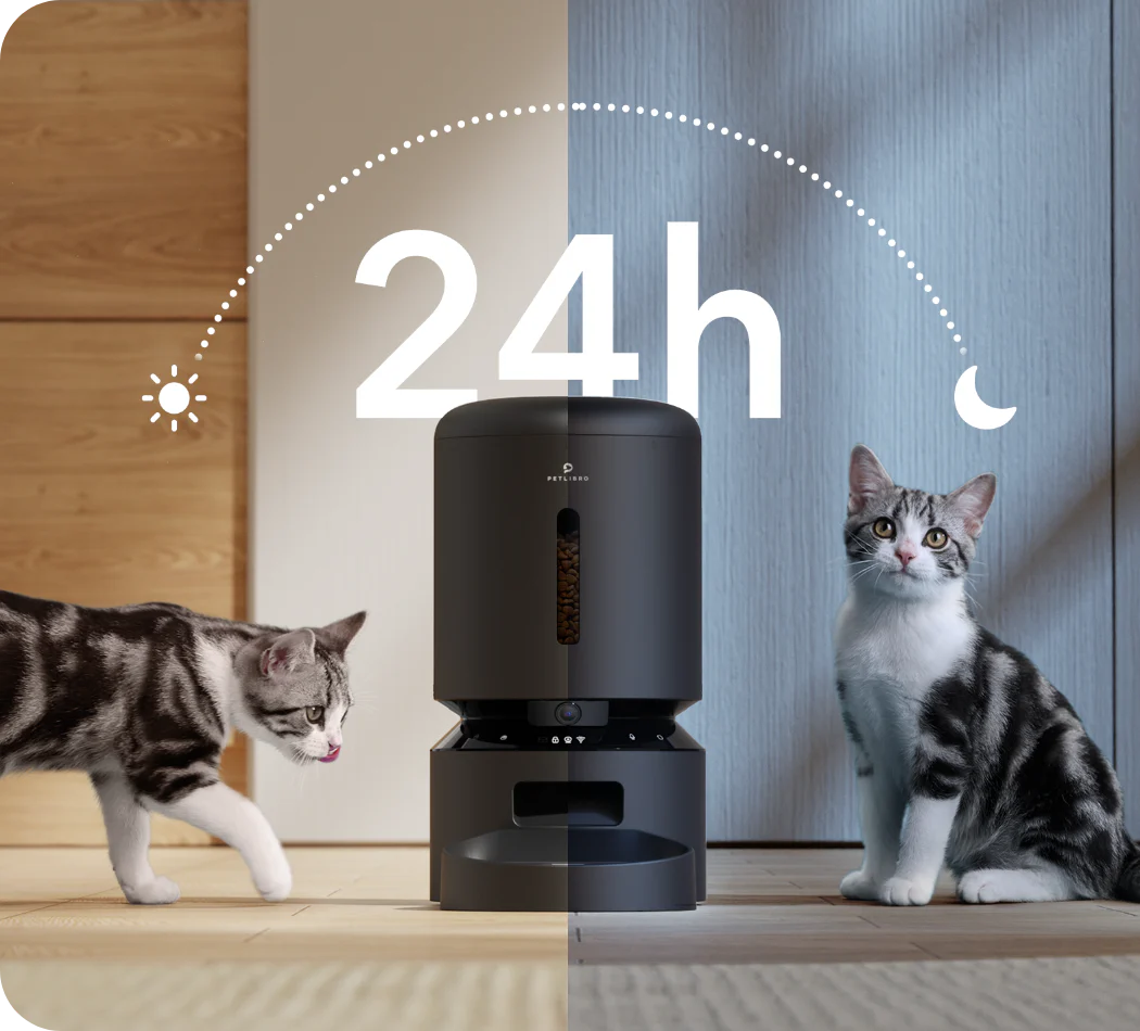 Petlibro_GranaryFeeder_HypeTalk_4 Petlibro - Granary Smart Camera Feeder & Fountain Bundle %Category