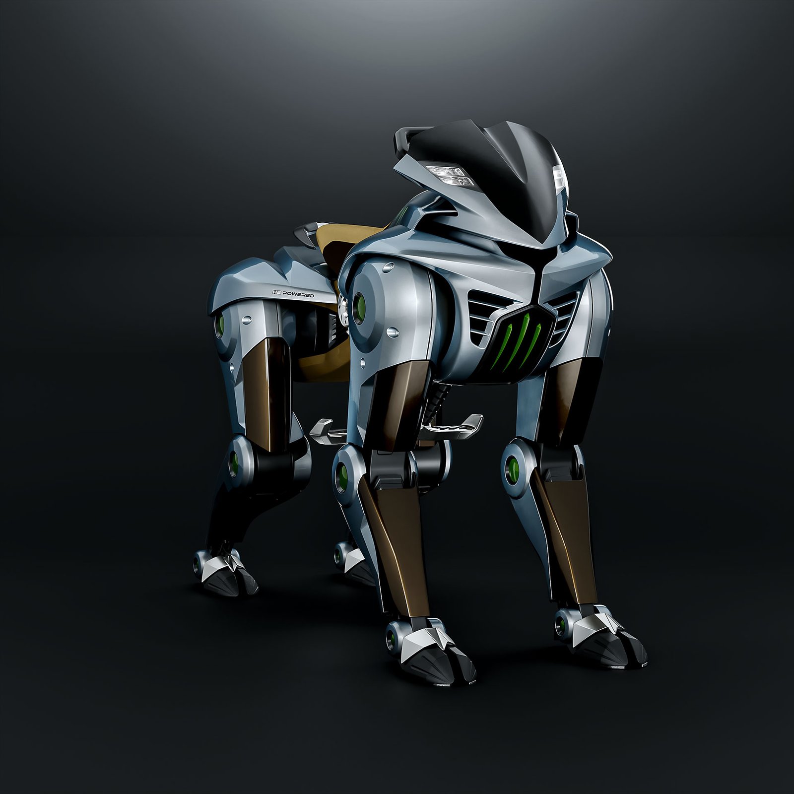 photo1 Kawasaki CORLEO - A Beast from the Future %Category